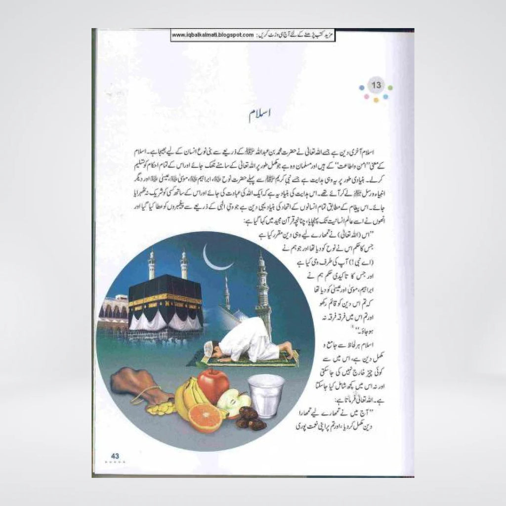 Bachon Ka Islami Encyclopedia Urdu by Darrussalam | Complete Islamic Reference for Children