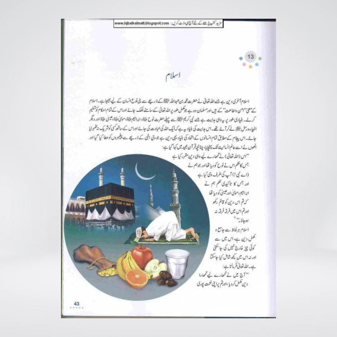 Bachon Ka Islami Encyclopedia Urdu by Darrussalam | Complete Islamic Reference for Children