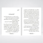 Jab Zindagi Shuru Hogi by Abu Yahya – Best-Selling Urdu Islamic Novel on the Hereafter