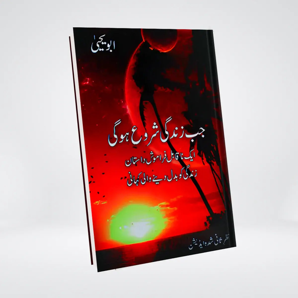 Jab Zindagi Shuru Hogi by Abu Yahya – Best-Selling Urdu Islamic Novel on the Hereafter