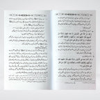 Nabi e Kareem Bahasiyat e Mualim Urdu: Prophetic Teaching Methods by Dr Fazal Elahi